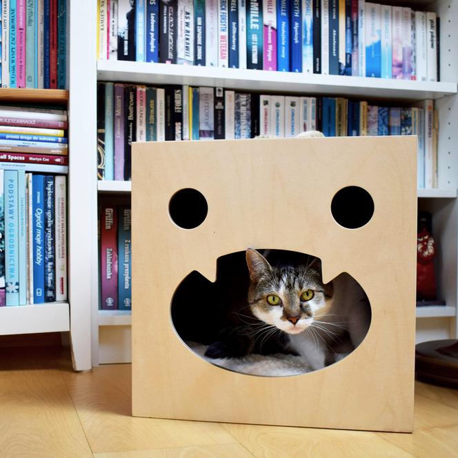 Domek dla kota. Pomysłowe budki i meble dla kotów.