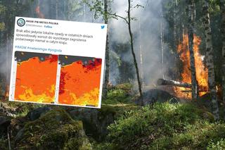 Najwyższy stopień zagrożenia pożarowego w lasach. Leśnicy apelują o ostrożność
