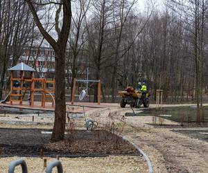 W Katowicach powstaje nowy park. Prace są na finiszu