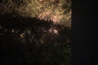 Podpalenie Niebuszewo 