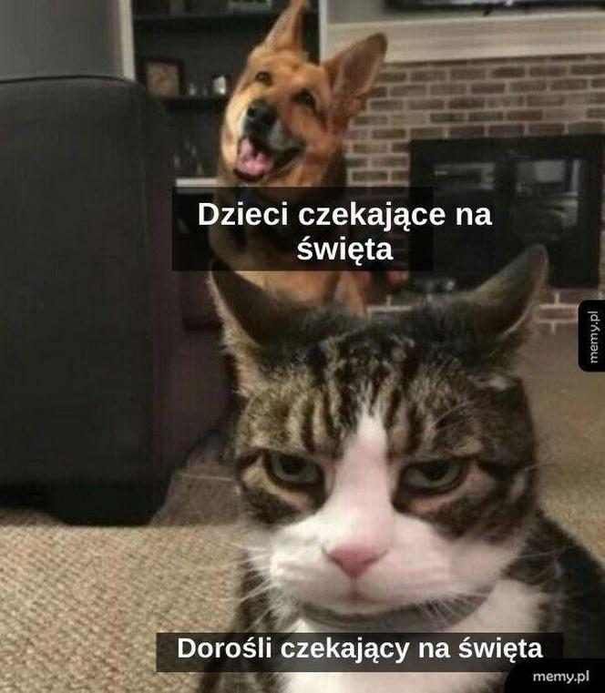 Memy świąteczne 2023 