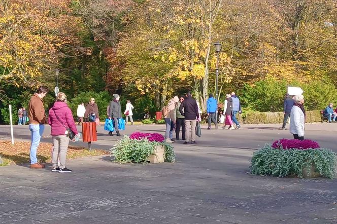 1 listopada na Cmentarzu Centralnym w Szczecinie