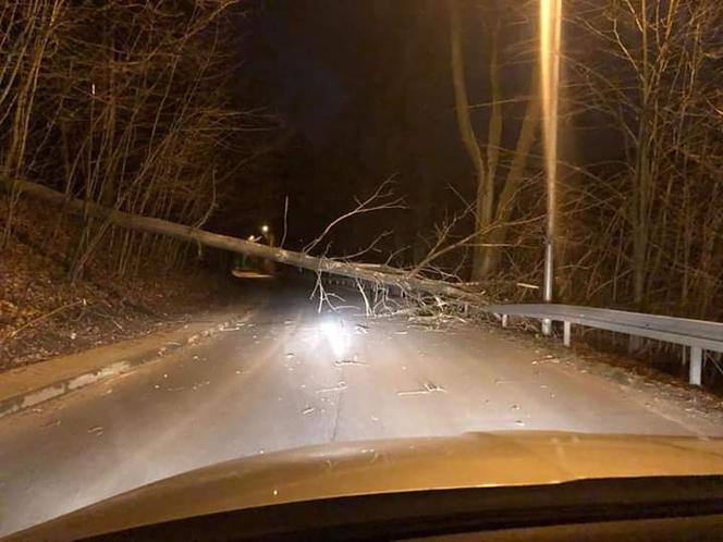 Wichury na Dolnym Śląsku