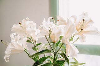 Życzenia imieninowe i urodzinowe dla dziecka. Krótkie, ale piękne, mądre propozycje życzeń od rodziców  