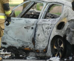 Zwęglone zwłoki w elektrycznym oplu. Samochód uderzył w drzewo i stanął w płomieniach