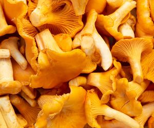 Kurki to bogactwo potasu i witaminy B. Ale nietrudno o szkodliwą pomyłkę