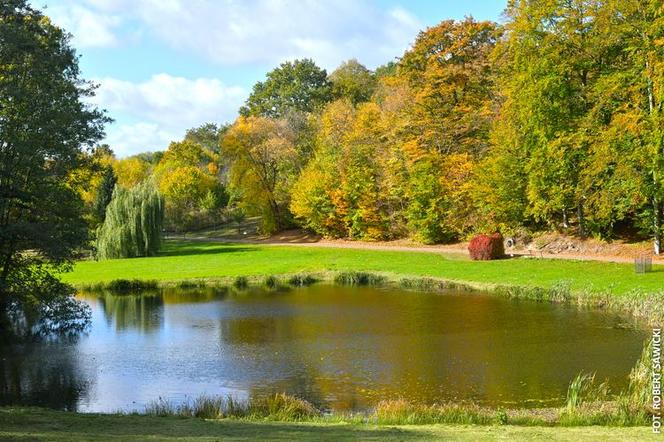 Zobacz jak wygląda największy park miejski w Polsce