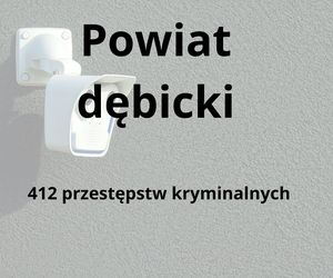 To tu na Podkarpaciu dochodzi do największej liczby przestępstw kryminalnych