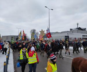 Orszak Trzech Króli w Elblągu