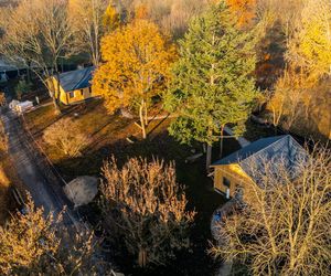 Odbudowa domków fińskich na Polu Mokotowskim