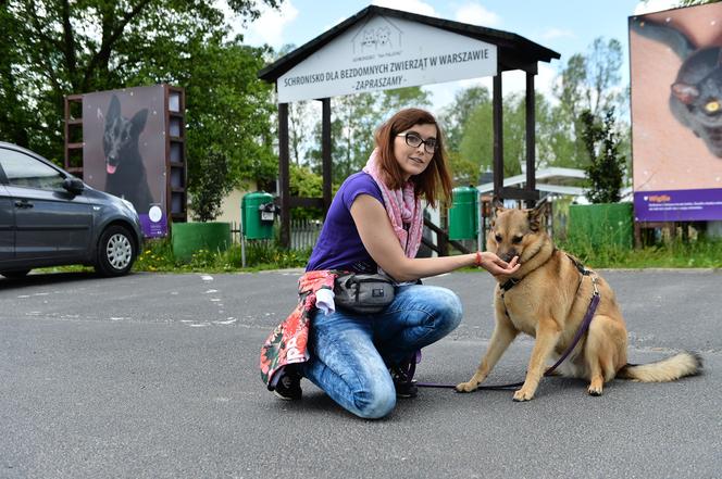 Awantura na Paluchu! Wolontariusze spierają się z dyrektorem