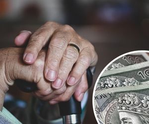 Pani Irena przepisała majątek rodzinie i sąsiadce. Ile fiskus zabierze ze spadku po seniorce? Kto może liczyć na zwolnienie?