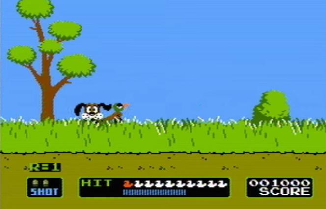 Duck Hunt