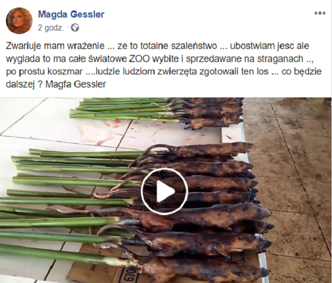 Facebook Magda Gessler