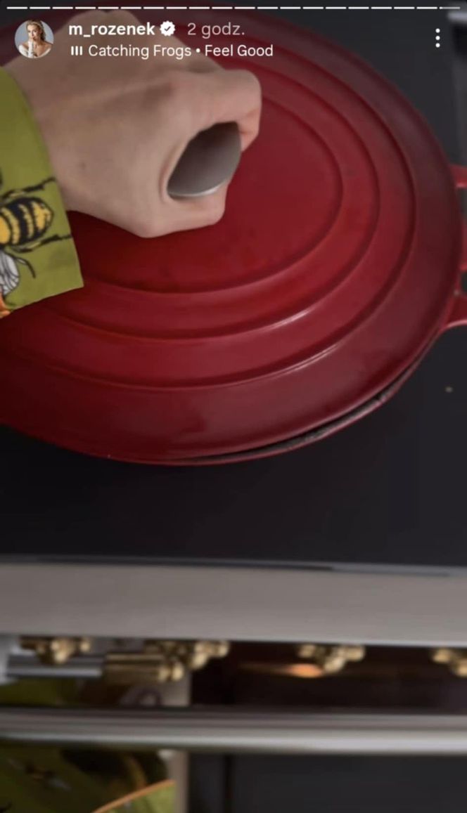 Małgorzata Rozenek-Majdan