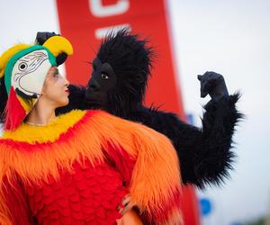 Nadchodzi Jungle Night w FACTORY Kraków. Rabaty sięgną nawet 50 procent!