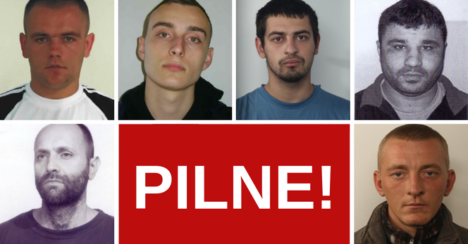 Morderstwa, gwałty, pobicia i rozboje. Oto najgroźniejsi Ukraińcy poszukiwani w Polsce!