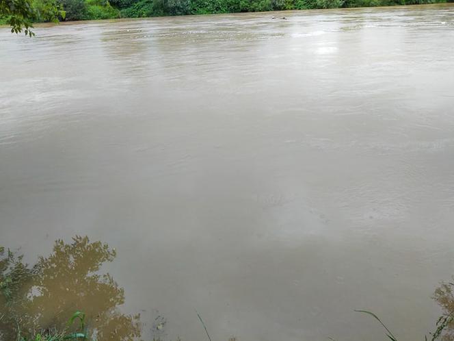 Wysoki Dunajec pod Tarnowem! Biała przy Azotach też przybiera