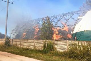 Ogromny pożar w Lubuskiem. Na miejscu gasiło ogień 19 zastępów straży pożarnej