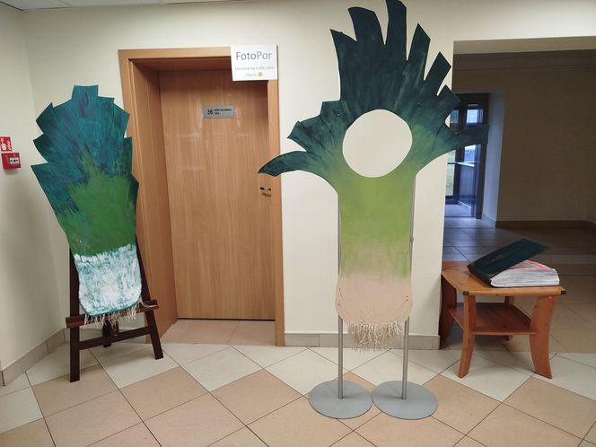 Uczcili Święto Warzywa 2025: Dzień Pora w Środowiskowym Domu Samopomocy w Siedlcach