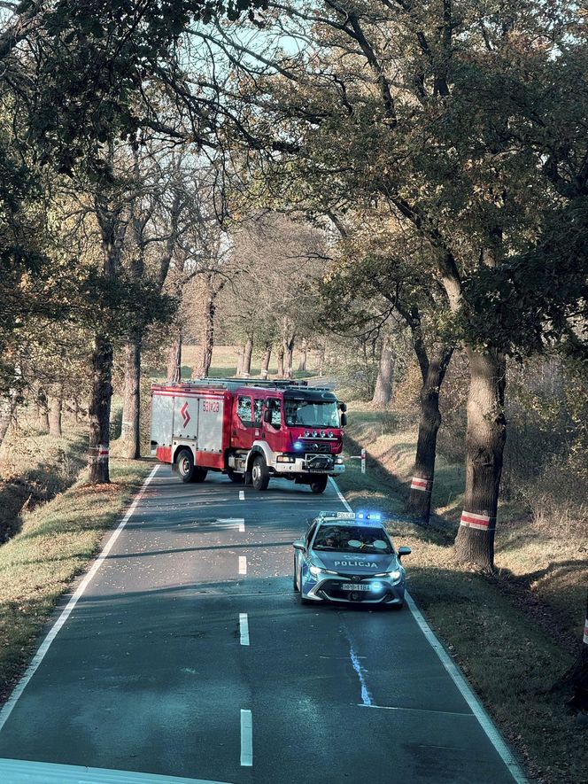 Śmiertelny wypadek pod Polkowicami. Nie żyje kierowca audi [ZDJĘCIA]