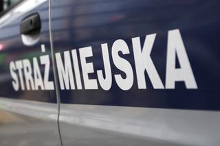 Gdańsk: uwaga kierowcy! Trwają wzmożone kontrole straży miejskiej