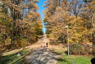 Park Miejski w Toruniu