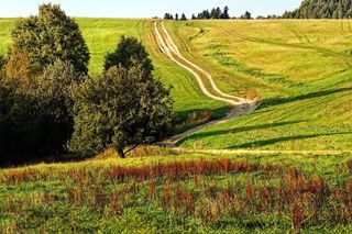 Z tych pagórków rozciąga się piękny widok na okolicę. Kujawsko-pomorskie to nie tylko nizina [GALERIA]