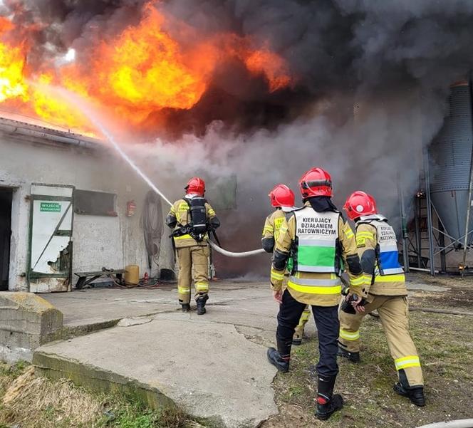 Straż Pożarna z Gorzowa podsumowała akcję gaśniczą pożaru niedaleko miasta