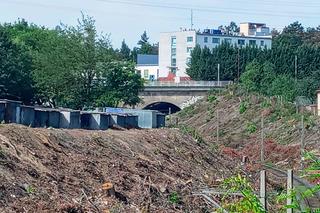 Wycinka drzew na stacji Szczecin Pomorzany