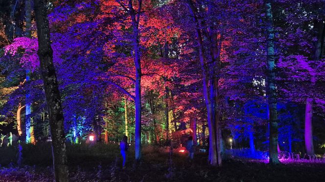 Olsztyn zamienił się w magiczną krainę. Park Świateł przyciągnął tłumy!