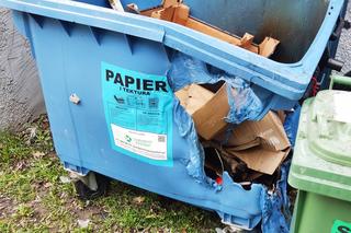 Strażnicy zajmowali się szczurami, złapali seryjnego podpalacza