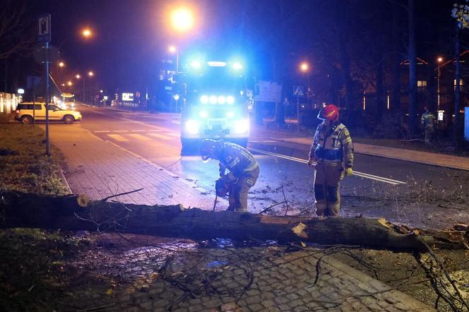 Małopolska: wieje silny wiatr, który łamie gałęzie i drzewa. IMGW ostrzega: zagrożenie dla zdrowia i życia