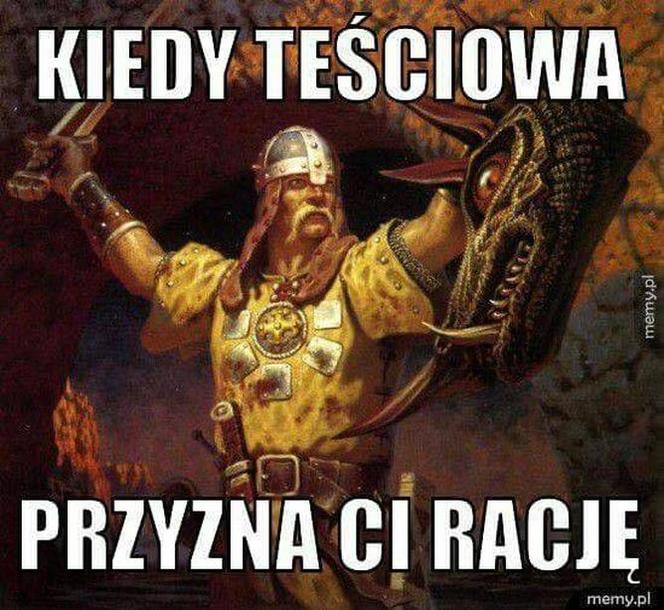 Dzień Teściowej 2021: MEMY. Najlepsze, śmieszne żarty i obrazki o teściowych [ZDJĘCIA]