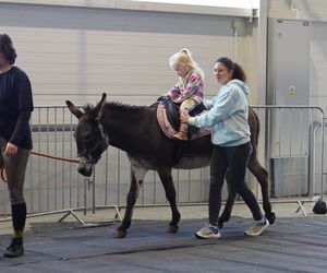 Tak wyglądał Zoopark 2024 w Lublinie! Zobacz zdjęcia