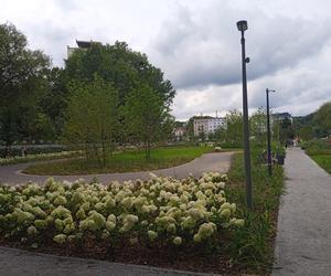 Park centralny w Gdyni. Atrakcje dla dzieci i dorosłych