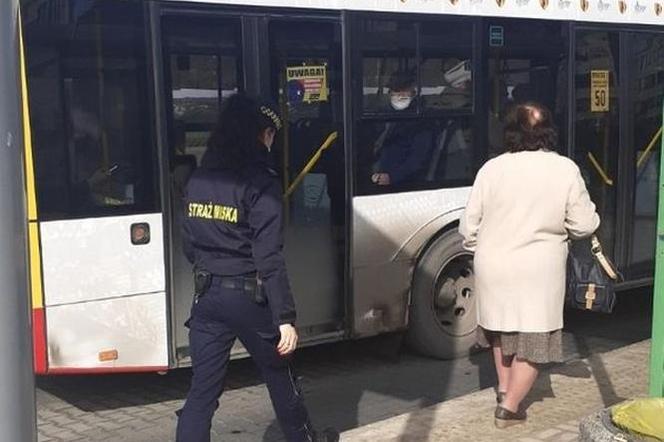 Kieleccy strażnicy sprawdzają, czy pasażerowie miejskich autobusów noszą maseczki