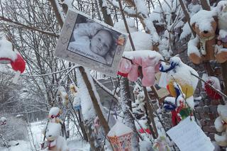 SOSNOWIEC: Rodzina nie chce MASKOTEK na GROBIE MADZI. Pluszaki będą SPALONE