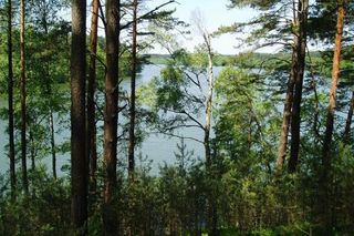 Nadleśnictwo Sieraków 