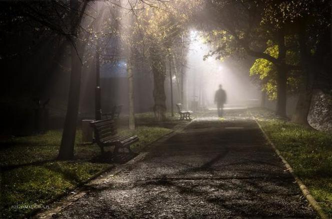 Ciemna strona Promenady Staromiejskiej