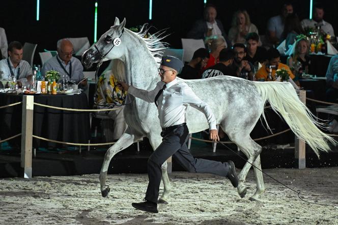 Porażka Pride of Poland 2024? Zyski są zdecydowanie niższe niż rok temu