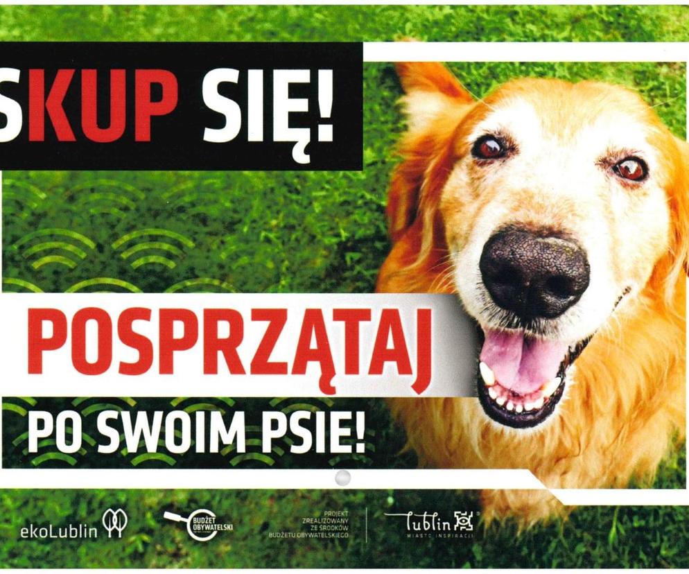 Lublin - psia akcja edukacyjna Miasta bez mandatów