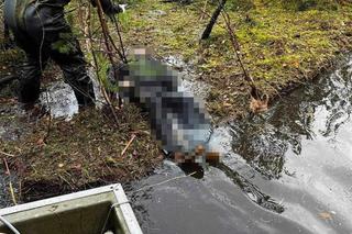 Tak wyławiali zwłoki Grzegorza Borysa. Wstrząsające zdjęcia z akcji 