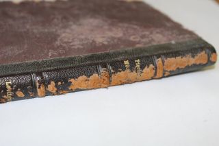 Sensacyjne znalezisko w Muzeum Elementarza w Kuźnicy Grabowskiej!