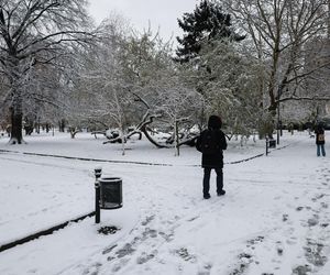 Śnieżny armagedon w Warszawie. Pierwszy atak zimy sparaliżował stolicę. Ogłoszono akcję ALFA