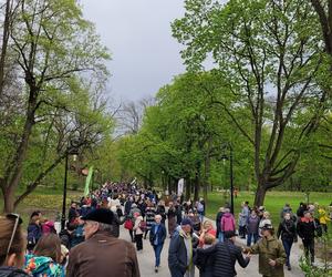 Kraków. Wyremontowany park Bednarskiego oficjalnie otwarty