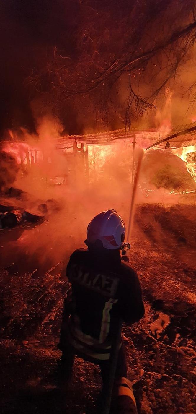 Płomienie były wszędzie! Tartak w Starym Sączu doszczętnie spłonął