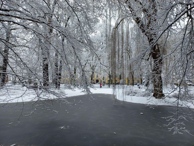 Leszno wygląda bajkowo! Na walentynki sypnęło śniegiem