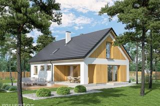 Projekt domu A101 W cieniu drzew (etapowy) - wizualizacje, plany