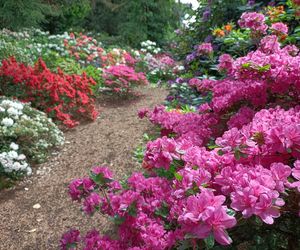 Arboretum Kórnickie. Aż 3000 roślin w jednym miejscu!